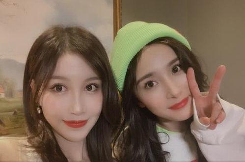 网红跟明星的区别,网络时代下的身份差异解析