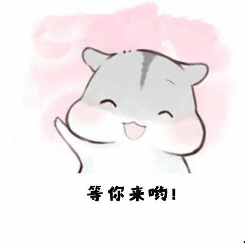 害羞表情包可爱 可爱