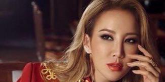 外籍华人明星,外籍华人明星的璀璨人生